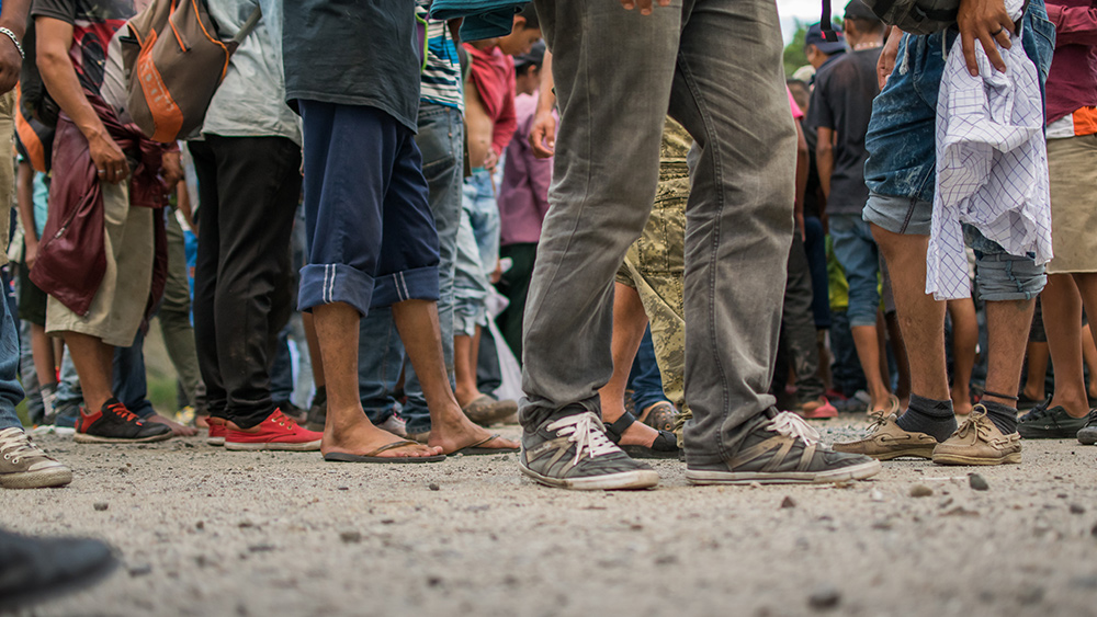 Sector of northern border sees record-breaking wave of illegal immigrants apprehended   – NaturalNews.com