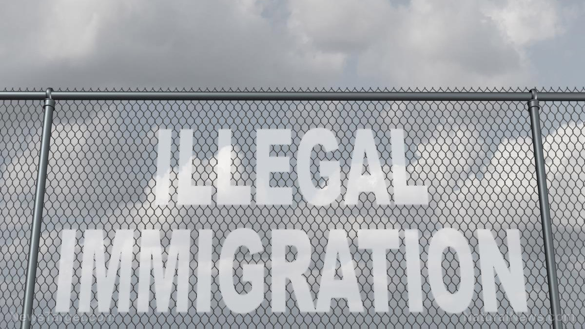 Migrants rushing to cross the US southern border before Biden loses in November   – NaturalNews.com