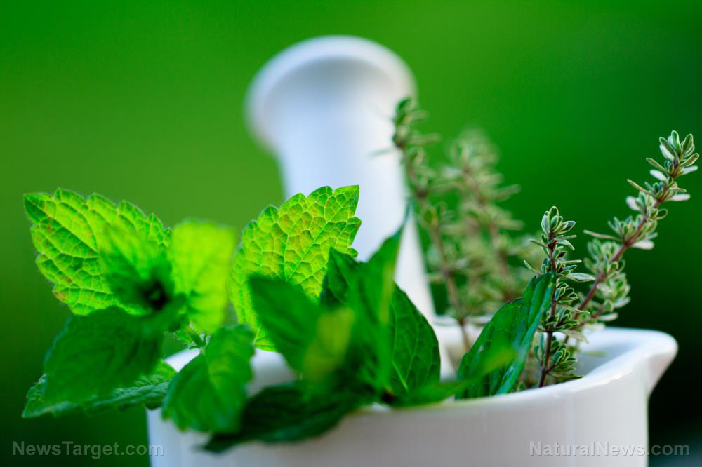 What are the health benefits of hibiscus leaves?   – NaturalNews.com