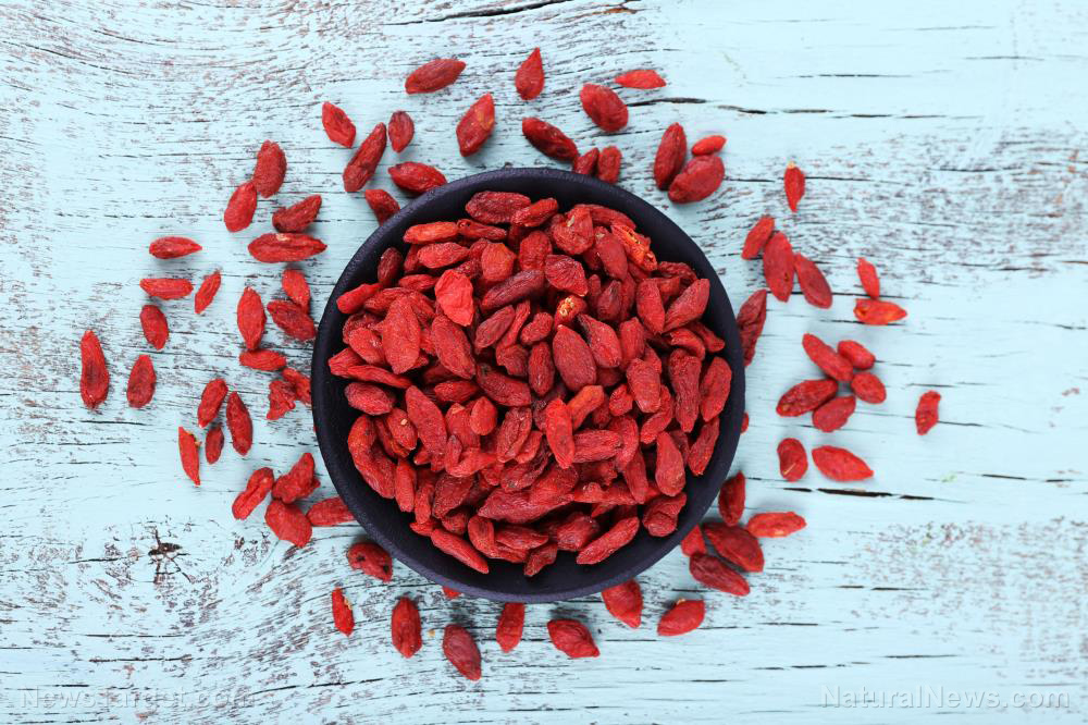 Study: Goji berries boost eye health, help prevent vision problems, study concludes   – NaturalNews.com