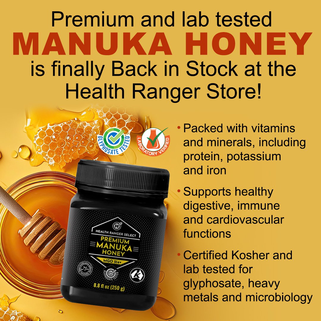 Premium and lab tested Manuka Honey is finally Back in Stock at the Health Ranger Store