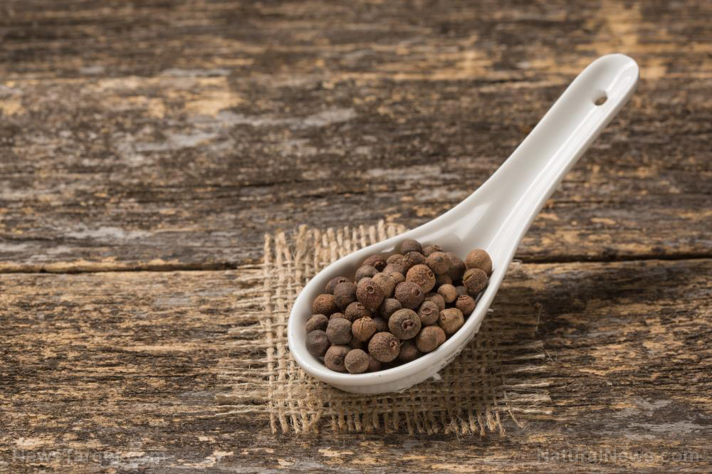 The nice spice: Try allspice, a natural source of beneficial plant compounds   – NaturalNews.com