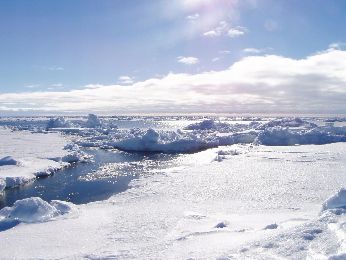 Nature publication: Researchers find arctic region 10,000 years ago warmer than today   – NaturalNews.com