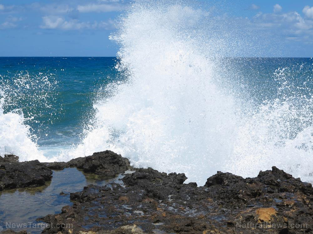 Historically, sea levels were much higher with lower CO2 levels, debunking climate hysteria