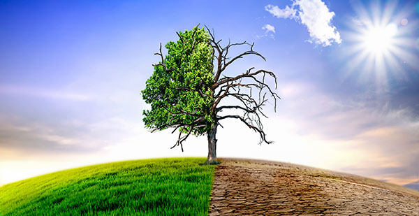 Meteorologist predicts global warming will be dead by 2030 – and reduced CO2 will hurt the planet   – NaturalNews.com
