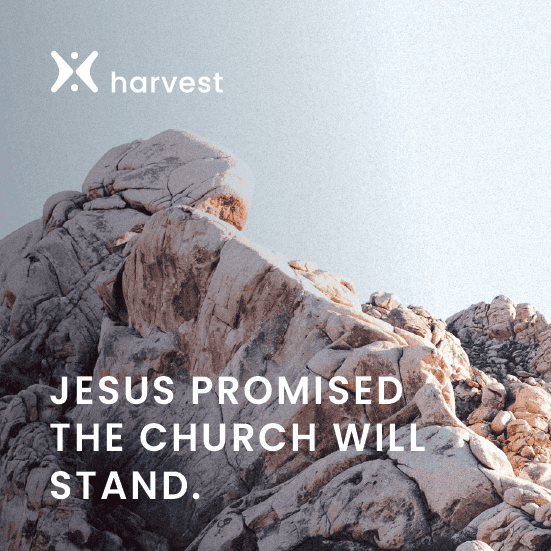 Like a Mustard Seed