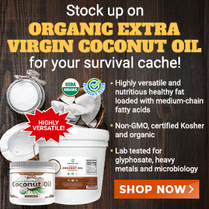 Here's why Organic Extra Virgin Coconut Oil definitely deserves a place in your survival cache