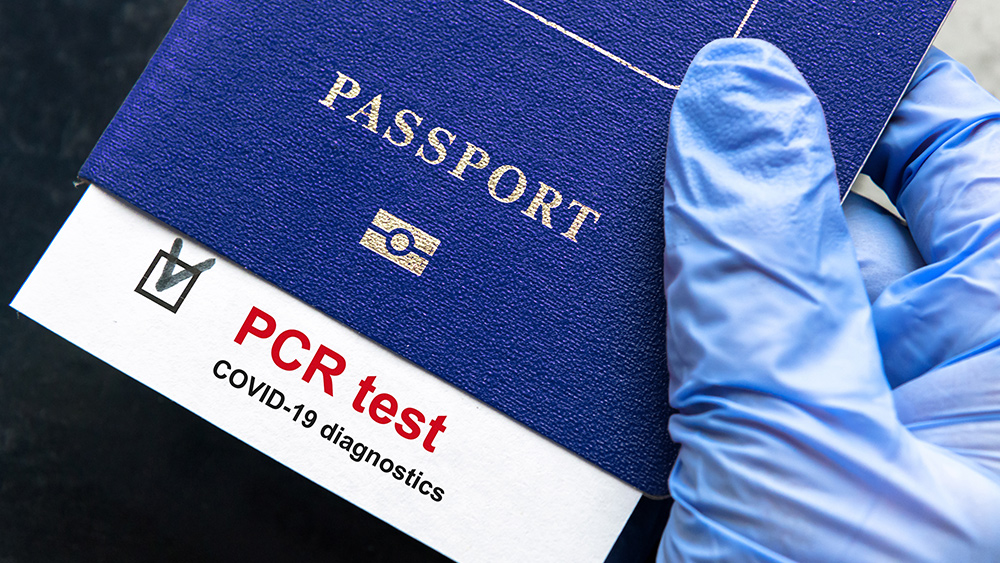 European court ruled in 2020 that PCR tests are 97% unreliable for diagnosing COVID, but media ignored it   – NaturalNews.com