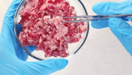 Pentagon plans to serve LAB-GROWN MEAT to troops in the name of climate change   – NaturalNews.com