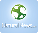 Almonds Aid Weight Loss and Lower LDL Cholesterol - NaturalNews.com
