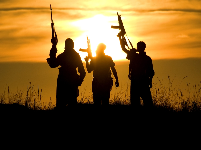 Congressional committee opens probe into Biden’s DHS as it releases more suspected terrorists at the border   – NaturalNews.com