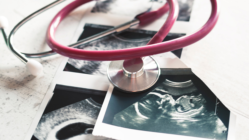 Jordan Peterson: Abortion, not gun violence, is the leading killer of children in America   – NaturalNews.com