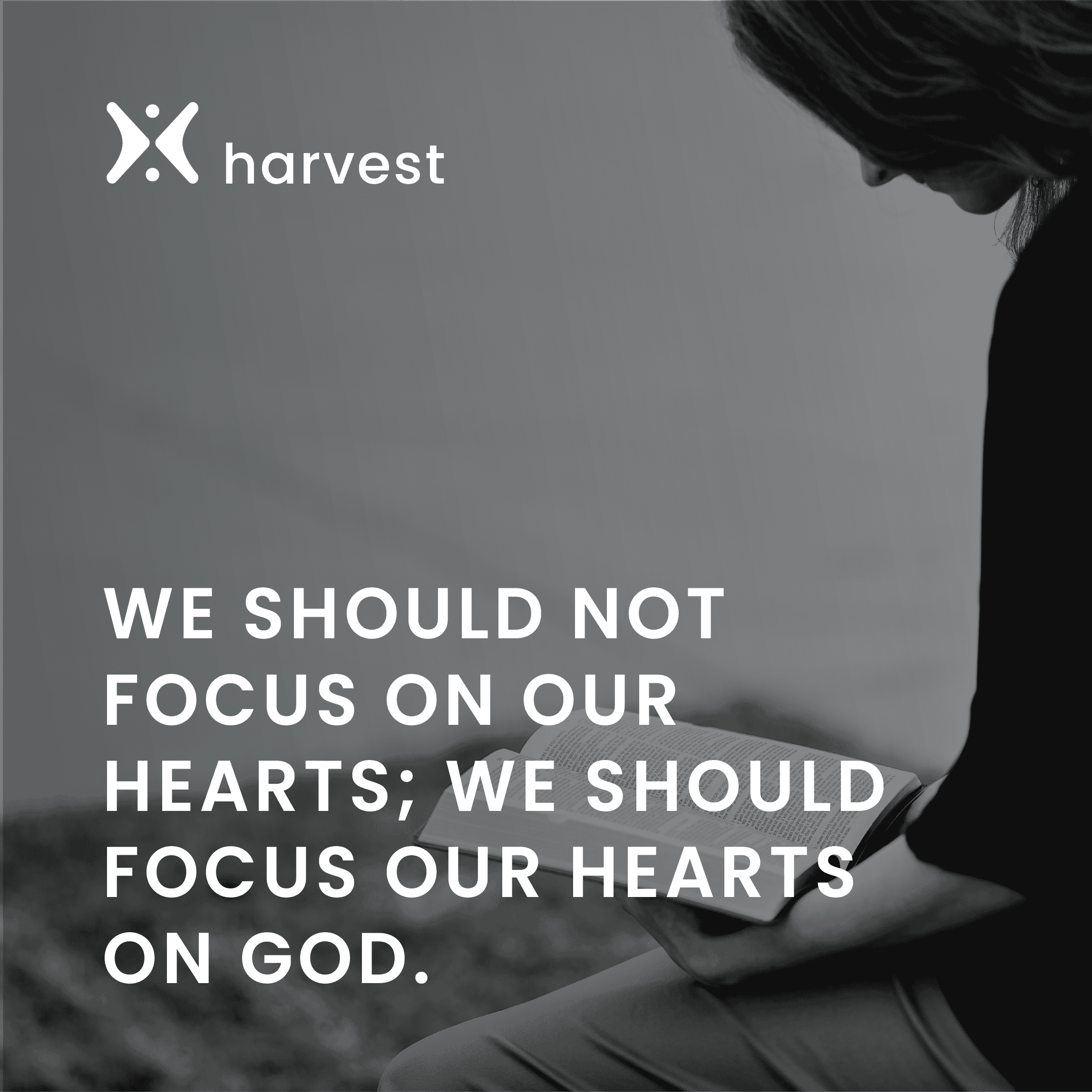 The Heart in Focus