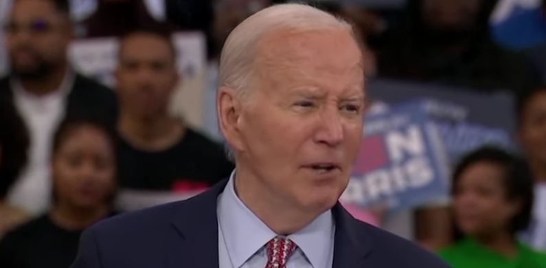 Biden visits daughter-in-law's home ahead of her testimony in Hunter trial - SARAH PALIN