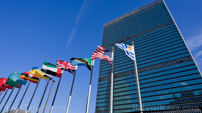 UN project aims to combat “misinformation,” “hate speech,” recommends algorithmic censorship and demonetization   – NaturalNews.com