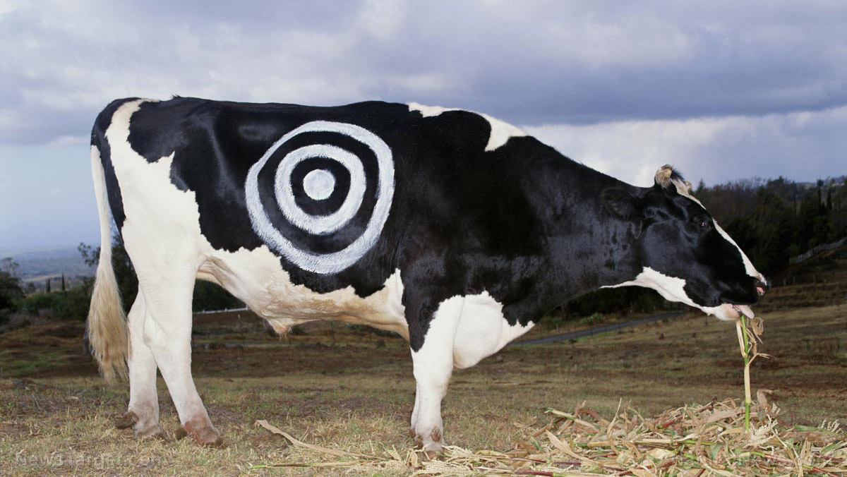 Tyrants in Michigan seize $90,000 worth of farm-to-table foods grown by Nourish Coop