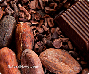 Chocolate generates anti-inflammatory nutrients in your gut - NaturalNews.com