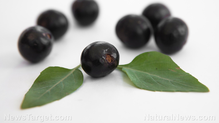 5 Health benefits of acai berry that make it a real superfood   – NaturalNews.com