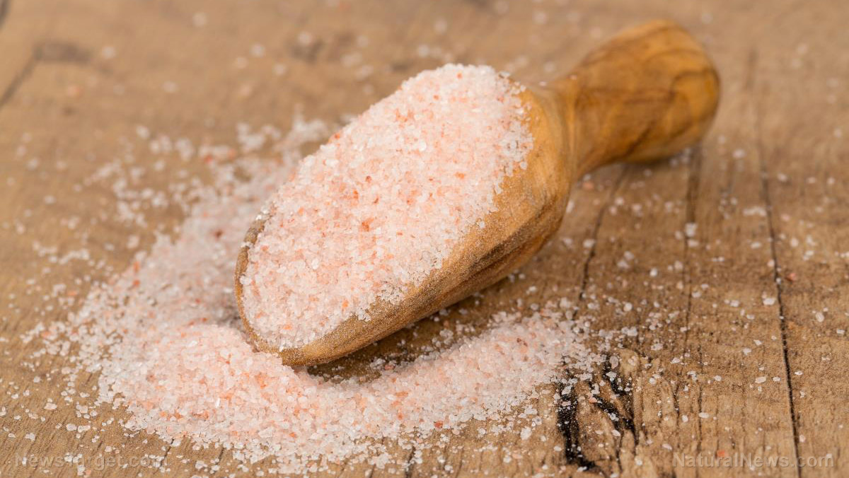 Prepping guide: Salting meat for long-term preservation