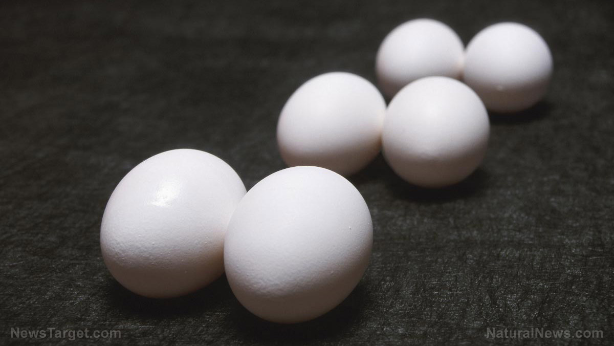 Australian supermarket chain imposes limits on EGG PURCHASES following bird flu-related poultry culls