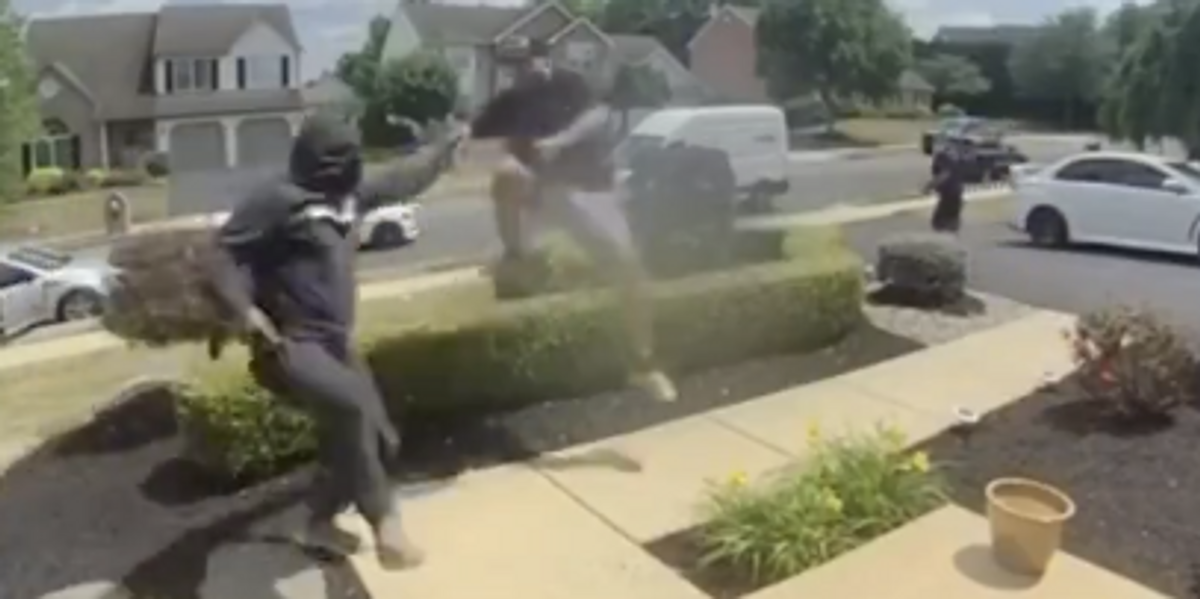 Watch: Porch Pirates Stalk Home And Fight Each Other Over Package - Louder With Crowder