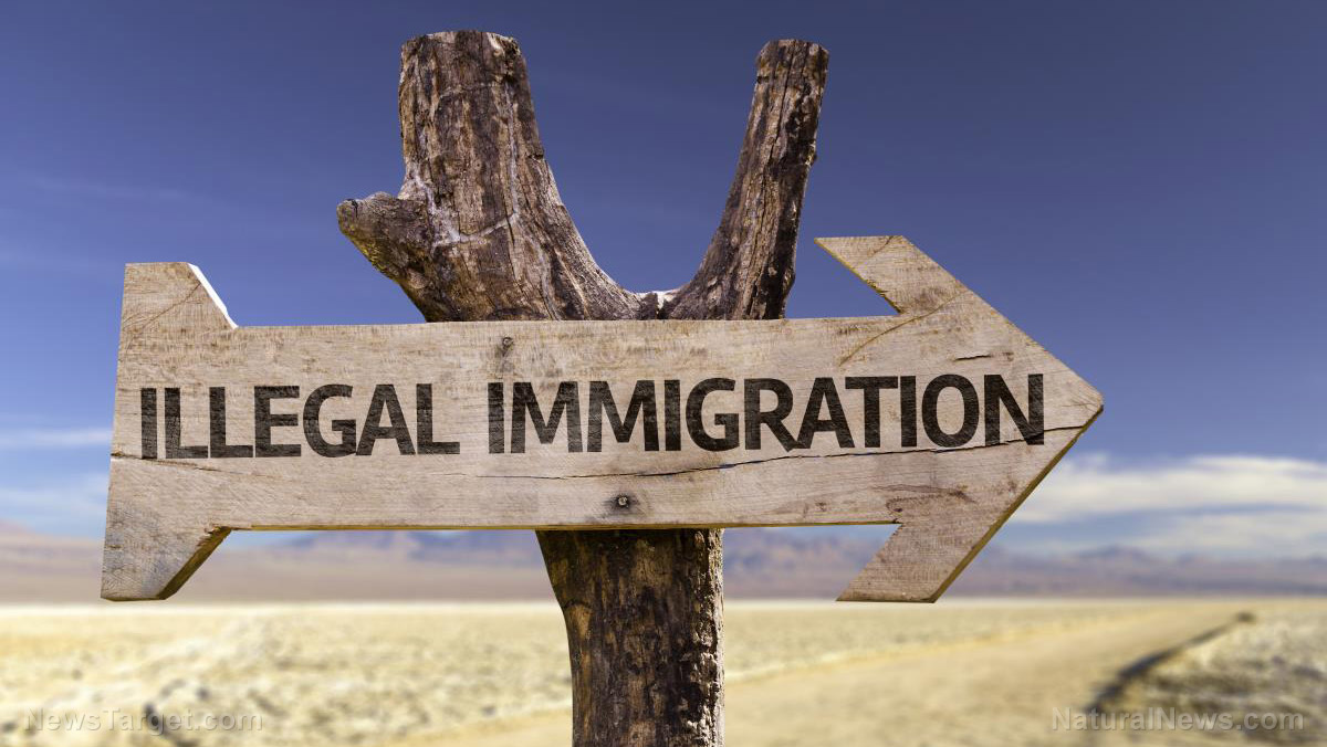 CBP agent warns Biden’s immigration executive order will NORMALIZE arrival of 2 million migrants annually   – NaturalNews.com