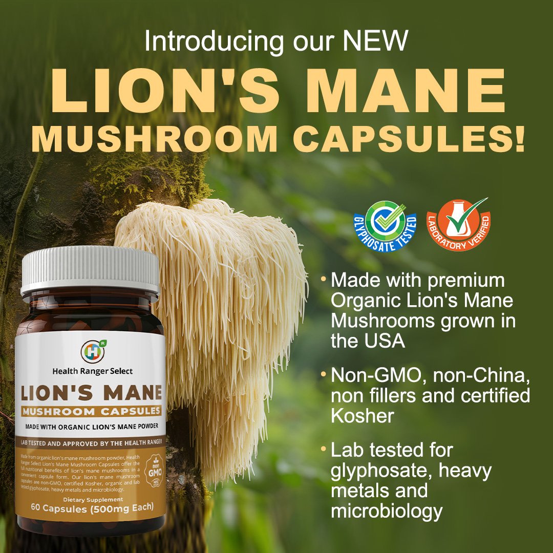 Introducing our New Lion's Mane Mushrooms in convenient capsule form