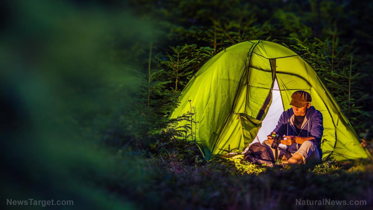 Survival basics: How to protect your camp from 4 different kinds of trespassers