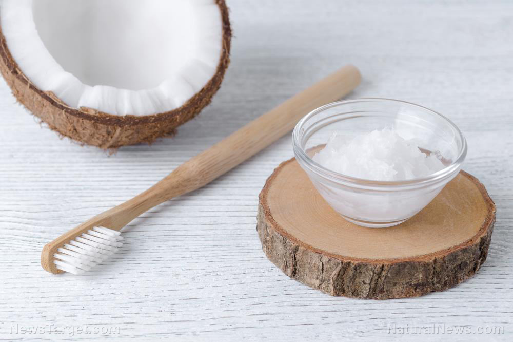 Survival dental care: Keeping your teeth clean and healthy when SHTF   – NaturalNews.com
