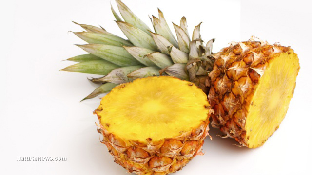 Pineapple juice is 500% more effective than cough syrup, study shows - NaturalNews.com