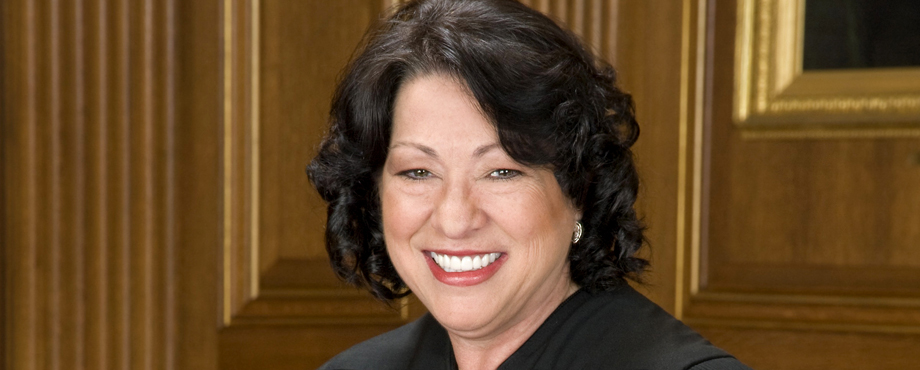 Anti-gun Supreme Court Justice Sotomayor’s bodyguards shoot alleged carjacker multiple times in self-defense   – NaturalNews.com