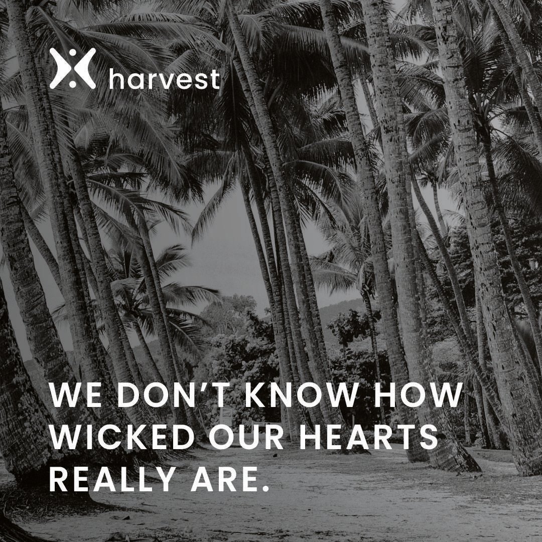 Wayward Hearts