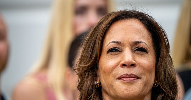 Black Lives Matter Slams DNC for 'Anointing' of Harris, Calls for Primary