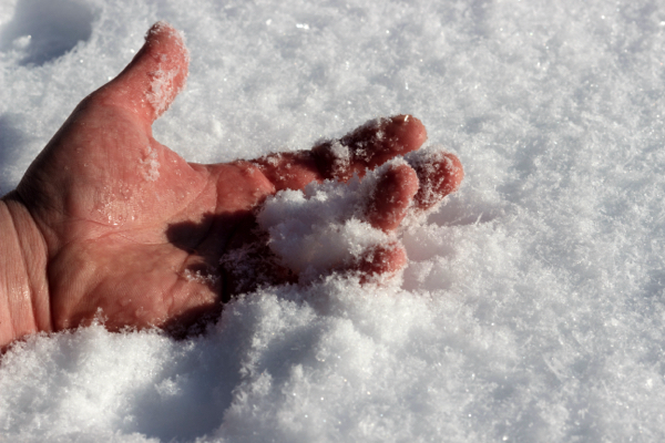 5 Survival myths that can get you killed and what to do instead   – NaturalNews.com