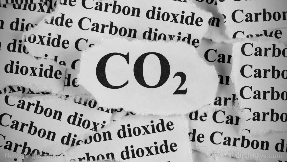 Professor William Happer: More CO2 is good for the world