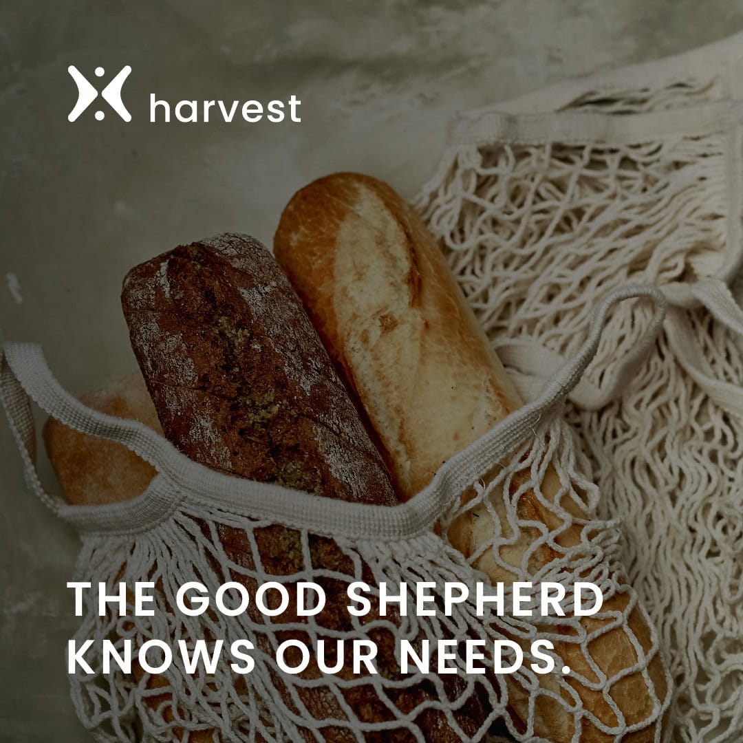 He Knows Our Needs