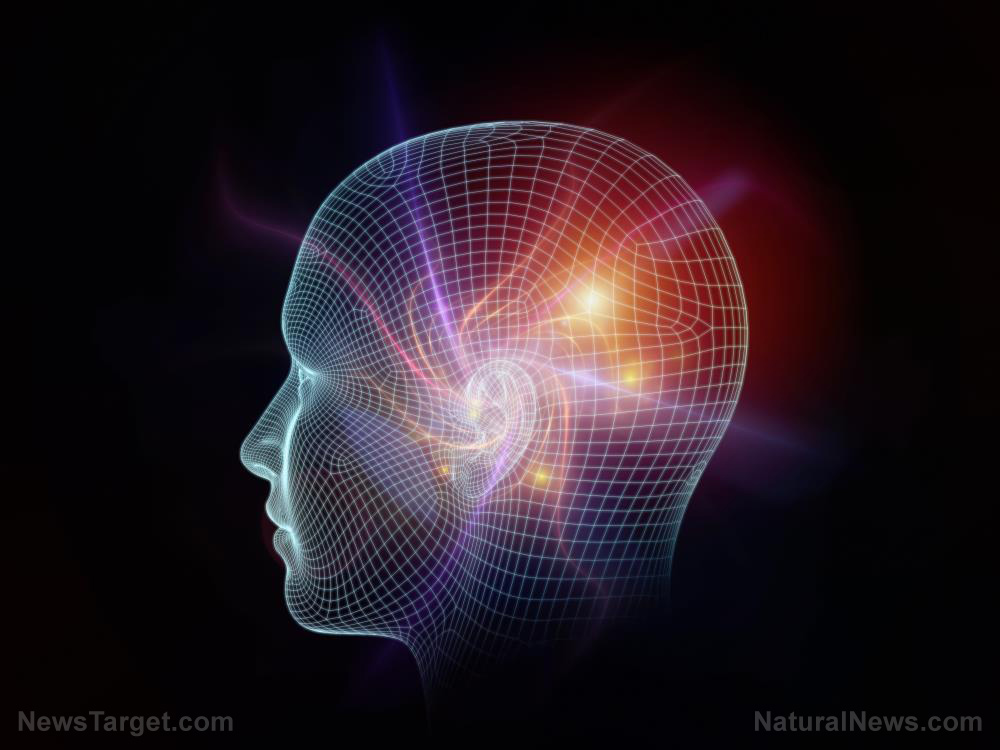 South Korean scientists discover how to use nanoparticles to control emotions, appetite via external magnetic field   – NaturalNews.com