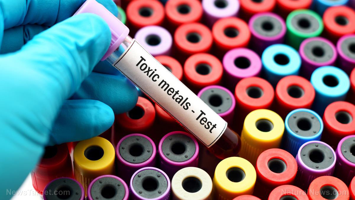 Study links 6 contaminant metals in urine to increased heart disease and mortality risk
