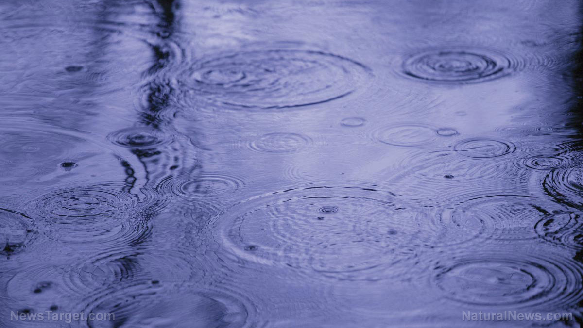 Safety first: Top 8 mistakes to avoid when harvesting rainwater   – NaturalNews.com