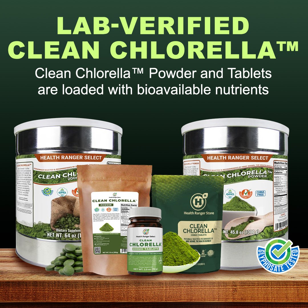 Clean Chlorella Powder and Tablets are finally Back in Stock at the HRS
