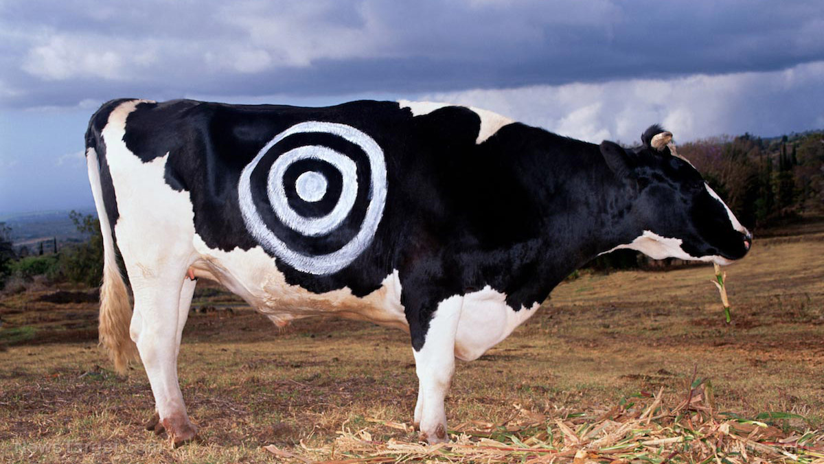 Kamala Harris’ solution to climate change is to alter the food pyramid and force Americans to eat less meat
