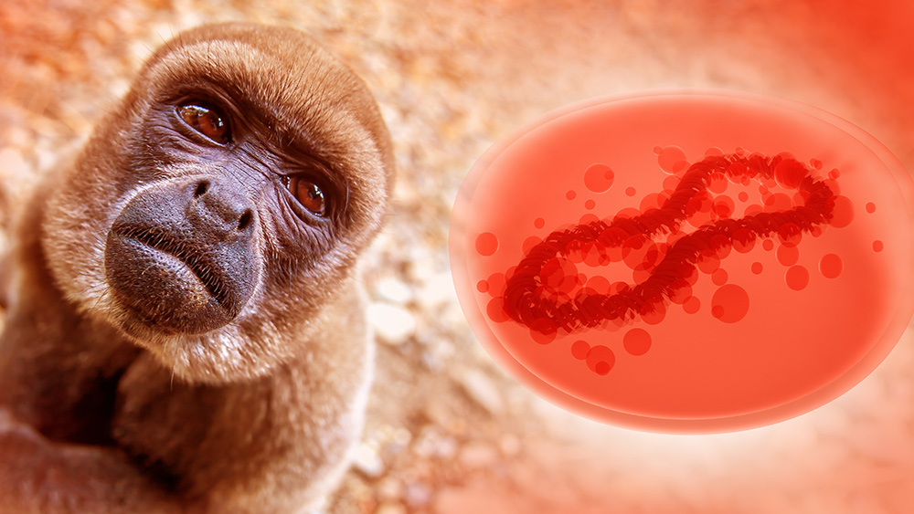 Media now pushing comically bizarre COVID-monkey-AIDS-pox disease as latest threat to society   – NaturalNews.com