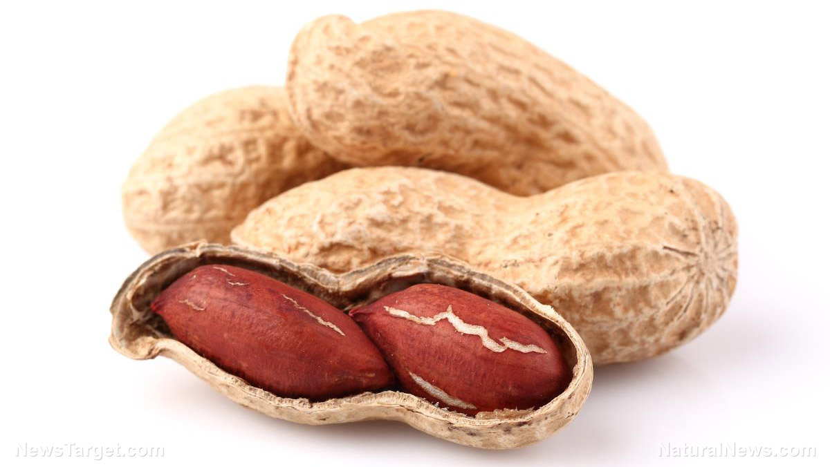 Peanuts: The nutrient powerhouse you can snack on   – NaturalNews.com