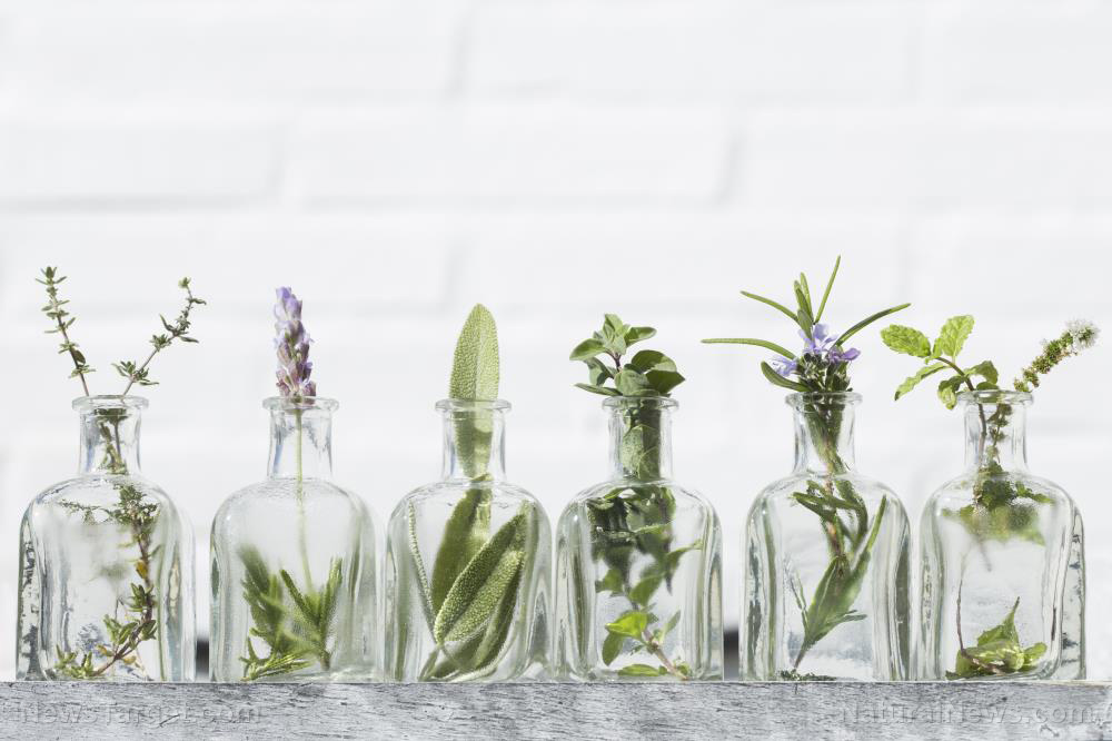 Antimicrobial essential oils: 8 Powerful natural alternatives to chemical cleaners   – NaturalNews.com