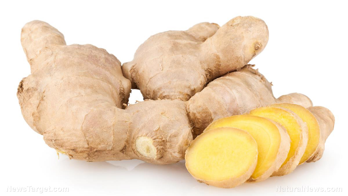 Ginger: The ancient root of wellness and flavor   – NaturalNews.com