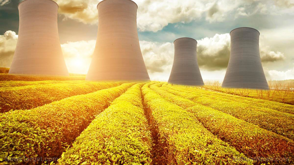 Embracing the nuclear renaissance: A comprehensive exploration of energy’s most controversial frontier   – NaturalNews.com
