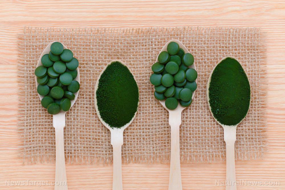 Culinary uses of chlorella: Explore creative ways to add this superfood to everyday meals   – NaturalNews.com
