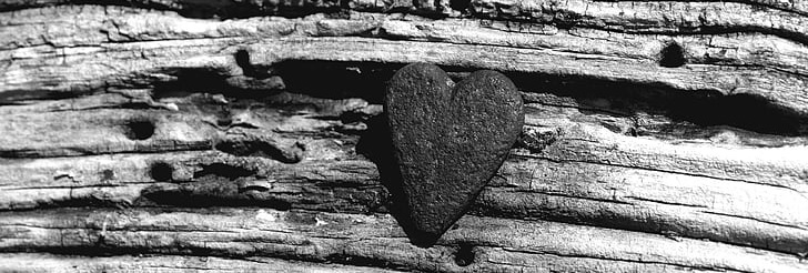 Horror of Horrors: Seven Greatest Hauntings of Human Heart – Striker Journal