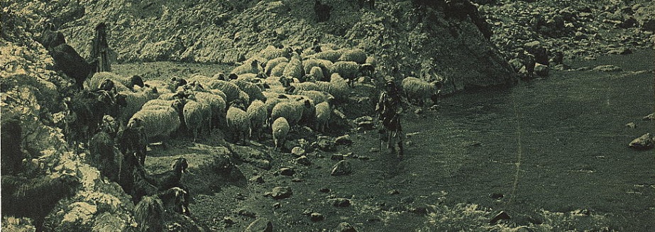 ‘What Now?’ Question America Needs to Be Asking Herself – Striker Journal