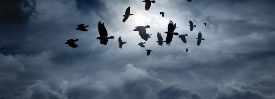 Synthetic Champion Cover Image